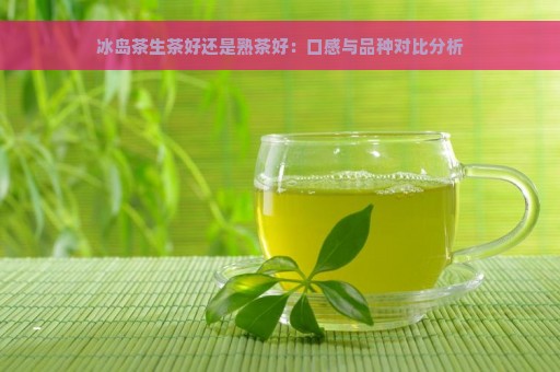 冰岛茶生茶好还是熟茶好：口感与品种对比分析