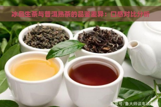 冰岛生茶与普洱熟茶的品鉴差异：口感对比分析