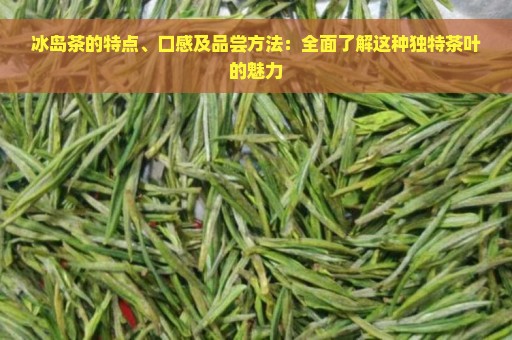 冰岛茶的特点、口感及品尝方法：全面了解这种独特茶叶的魅力