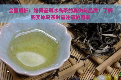 全面解析：如何鉴别冰岛茶的真伪与品质？了解购买冰岛茶时需注意的因素