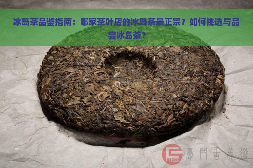 冰岛茶品鉴指南：哪家茶叶店的冰岛茶最正宗？如何挑选与品尝冰岛茶？