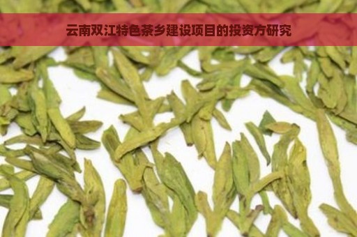 云南双江特色茶乡建设项目的投资方研究