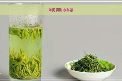 如何买到冰岛茶