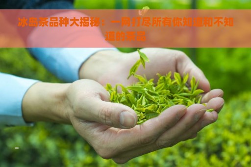 冰岛茶品种大揭秘：一网打尽所有你知道和不知道的茶品