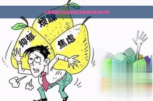 小满逾期还款后的解决策略与影响分析