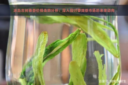 冰岛古树春茶价格走势分析：深入探讨普洱茶市场的未来动向