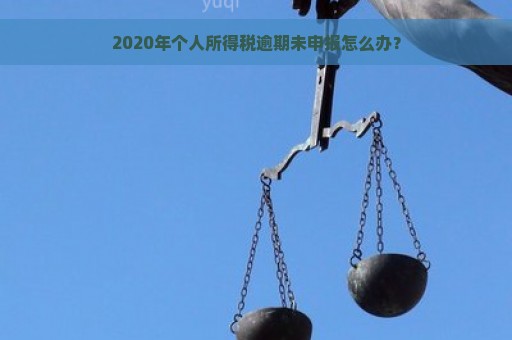 2020年个人所得税逾期未申报怎么办？