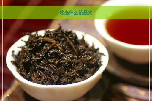 冰岛什么茶最大