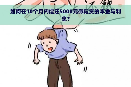 如何在10个月内偿还5000元微粒贷的本金与利息？