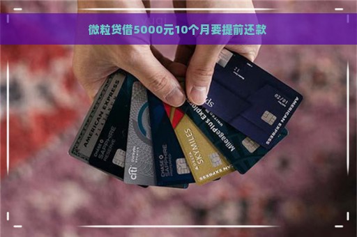 微粒贷借5000元10个月要提前还款