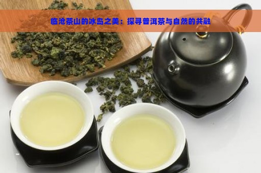 临沧茶山的冰岛之美：探寻普洱茶与自然的共融