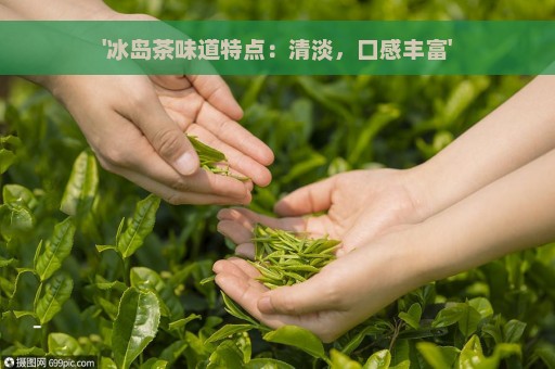 '冰岛茶味道特点：清淡，口感丰富'