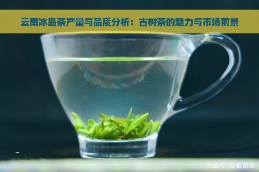 云南冰岛茶产量与品质分析：古树茶的魅力与市场前景