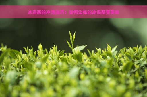 冰岛茶的冲泡技巧：如何让你的冰岛茶更美味