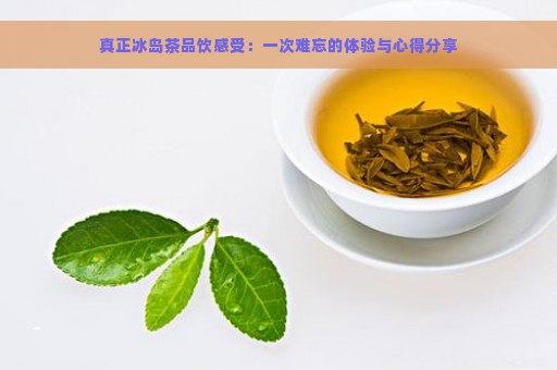 真正冰岛茶品饮感受：一次难忘的体验与心得分享