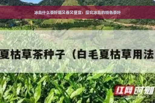 冰岛什么茶好喝又香又便宜：探究冰岛的特色茶叶