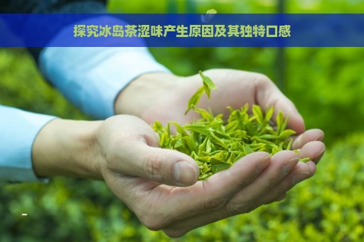 探究冰岛茶涩味产生原因及其独特口感