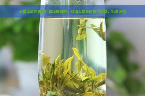 云南冰岛古树茶厂特级普洱茶：勐海大茶业精选老树茶，批发促销