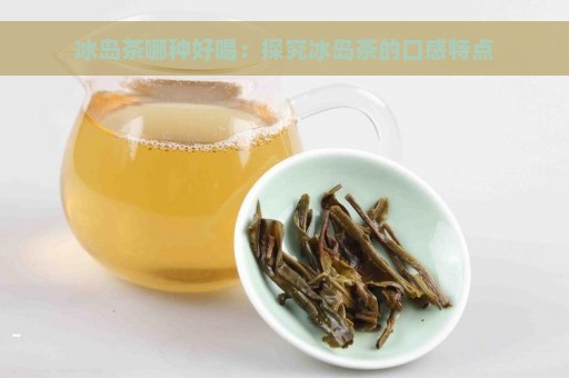 冰岛茶哪种好喝：探究冰岛茶的口感特点