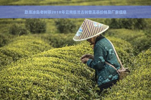 勐库冰岛老树茶2018年云南临沧古树普洱茶价格及厂家信息