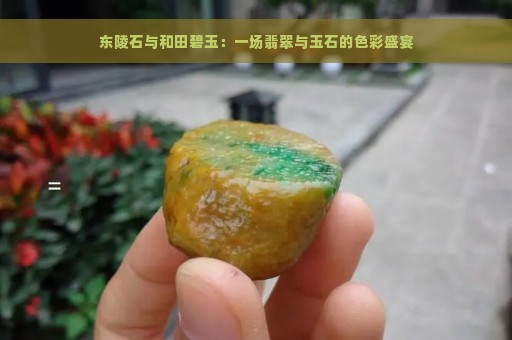 东陵石与和田碧玉：一场翡翠与玉石的色彩盛宴