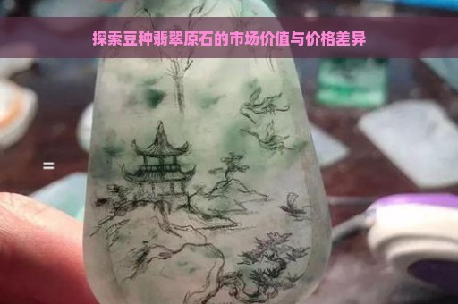 探索豆种翡翠原石的市场价值与价格差异