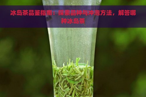 冰岛茶品鉴指南：探索品种与冲泡方法，解答哪种冰岛茶