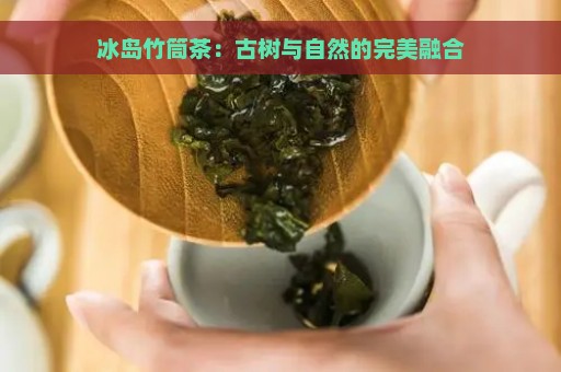 冰岛竹筒茶：古树与自然的完美融合