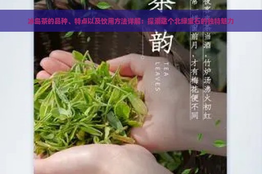 冰岛茶的品种、特点以及饮用方法详解：探索这个北绿宝石的独特魅力