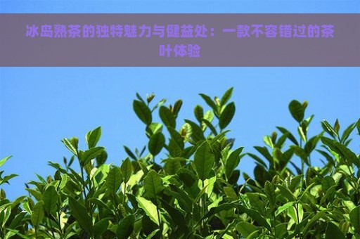 冰岛熟茶的独特魅力与健益处：一款不容错过的茶叶体验