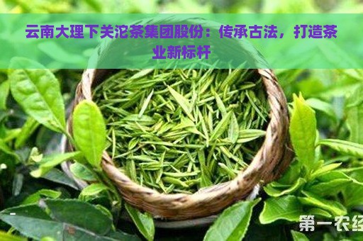 云南大理下关沱茶集团股份：传承古法，打造茶业新标杆