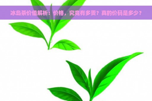 冰岛茶价值解析：价格，究竟有多贵？真的价码是多少？