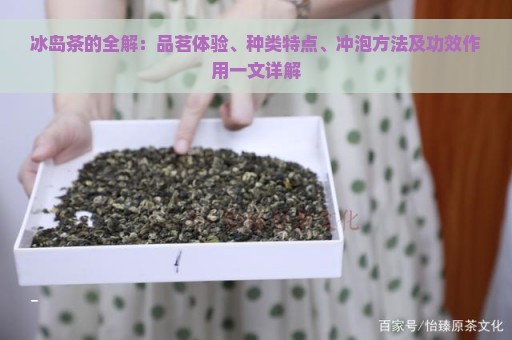 冰岛茶的全解：品茗体验、种类特点、冲泡方法及功效作用一文详解