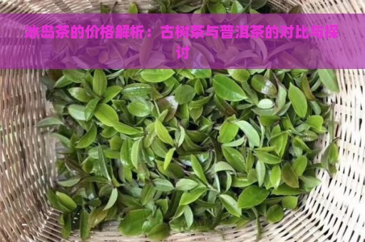 冰岛茶的价格解析：古树茶与普洱茶的对比与探讨