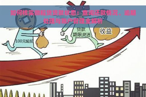 如何核实微粒贷贷款状态：查询还款情况、逾期处理与账户管理全解析