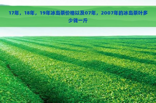 17年，18年，19年冰岛茶价格以及07年，2007年的冰岛茶叶多少钱一斤