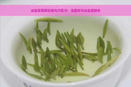 冰岛茶等级价格与分区分：全解析与冰岛茶排名