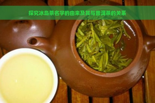 探究冰岛茶名字的由来及其与普洱茶的关系