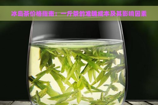 冰岛茶价格指南：一斤茶的准确成本及其影响因素