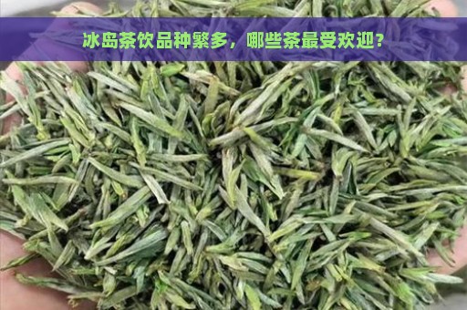 冰岛茶饮品种繁多，哪些茶最受欢迎？