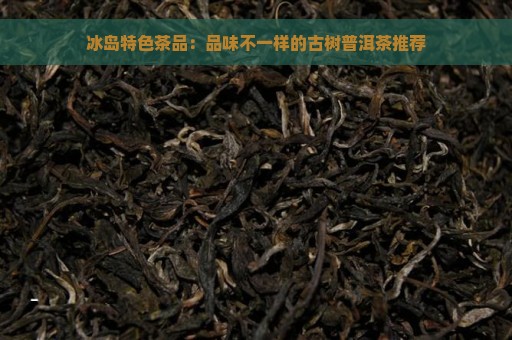 冰岛特色茶品：品味不一样的古树普洱茶推荐