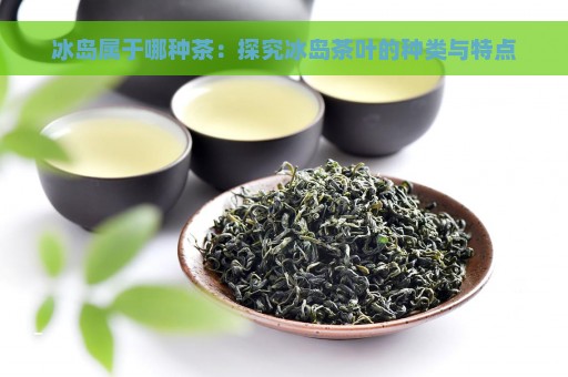 冰岛属于哪种茶：探究冰岛茶叶的种类与特点