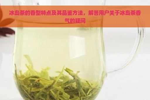 冰岛茶的香型特点及其品鉴方法，解答用户关于冰岛茶香气的疑问