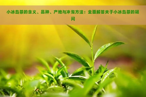 小冰岛茶的含义、品种、产地与冲泡方法：全面解答关于小冰岛茶的疑问