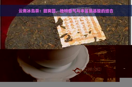 云南冰岛茶：甜爽回，独特香气与丰富氨基酸的结合