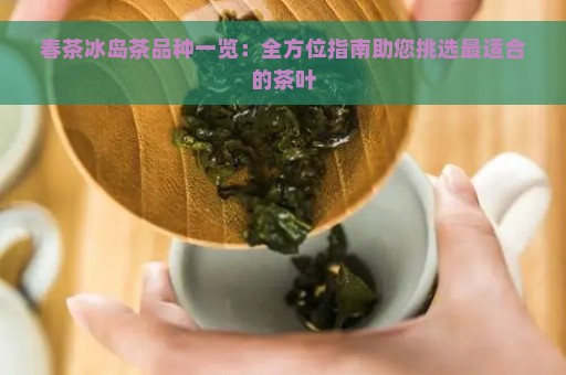 春茶冰岛茶品种一览：全方位指南助您挑选最适合的茶叶