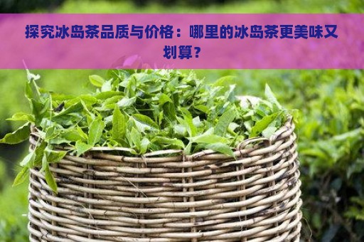 探究冰岛茶品质与价格：哪里的冰岛茶更美味又划算？