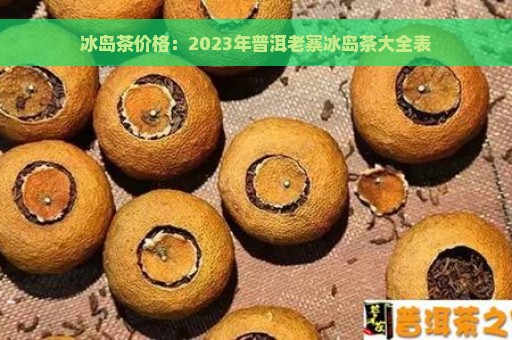 冰岛茶价格：2023年普洱老寨冰岛茶大全表