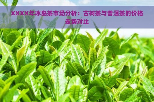 XXXX年冰岛茶市场分析：古树茶与普洱茶的价格走势对比