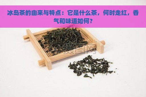 冰岛茶的由来与特点：它是什么茶，何时走红，香气和味道如何？